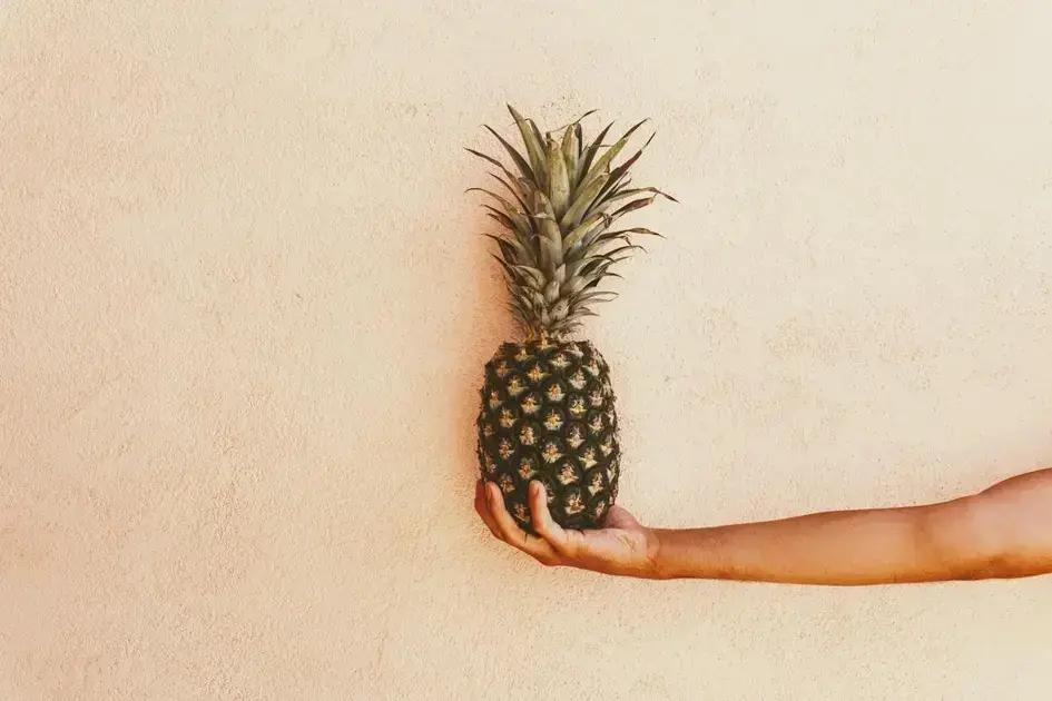 Pilates no Dia a Dia e Alimentação: Parceiros Perfeitos